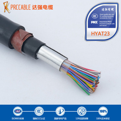 專(zhuān)業(yè)解析 野外通信電纜HYAT23 30*2*0.5鋼帶鎧裝電纜及其供應(yīng)商